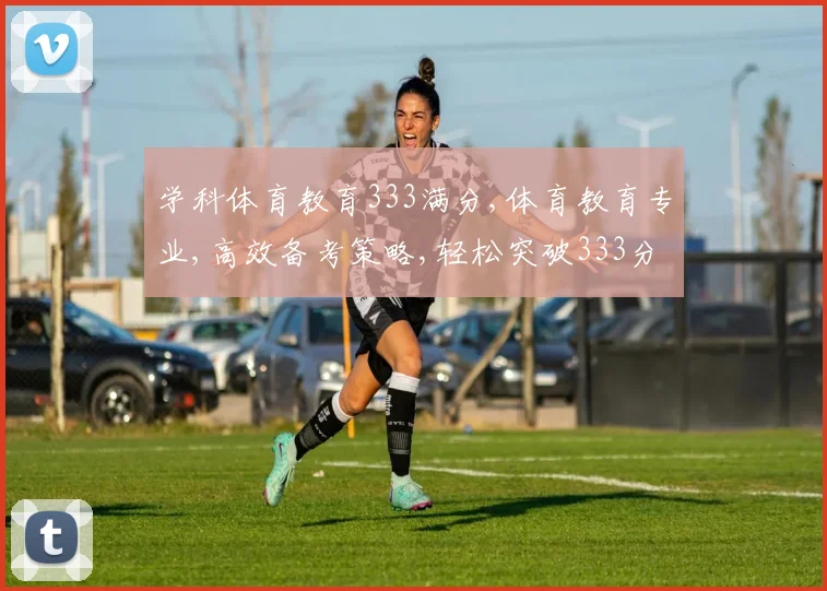学科体育教育333满分,体育教育专业,高效备考策略,轻松突破333分